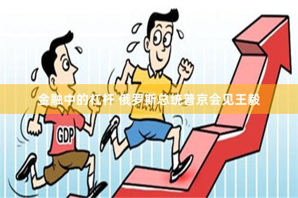 金融中的杠杆 俄罗斯总统普京会见王毅