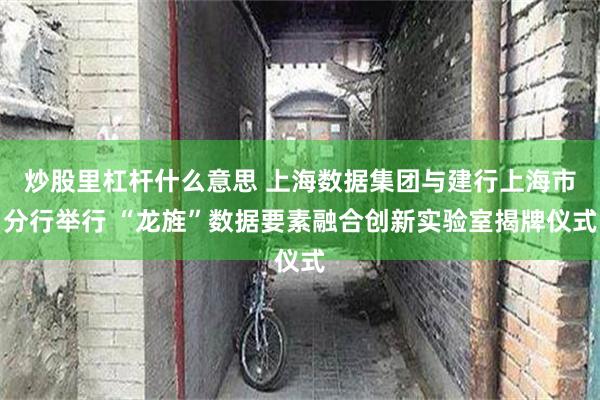 炒股里杠杆什么意思 上海数据集团与建行上海市分行举行 “龙旌”数据要素融合创新实验室揭牌仪式