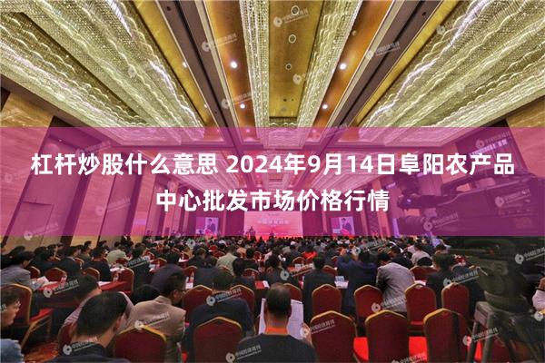 杠杆炒股什么意思 2024年9月14日阜阳农产品中心批发市场价格行情