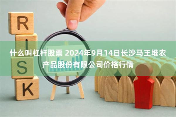 什么叫杠杆股票 2024年9月14日长沙马王堆农产品股份有限公司价格行情