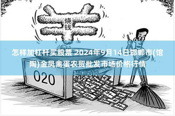 怎样加杠杆买股票 2024年9月14日邯郸市(馆陶)金凤禽蛋农贸批发市场价格行情