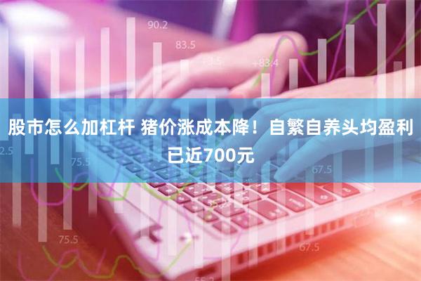 股市怎么加杠杆 猪价涨成本降！自繁自养头均盈利已近700元