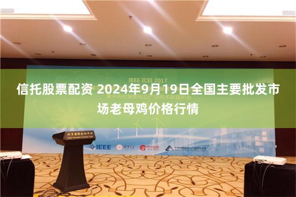 信托股票配资 2024年9月19日全国主要批发市场老母鸡价格行情