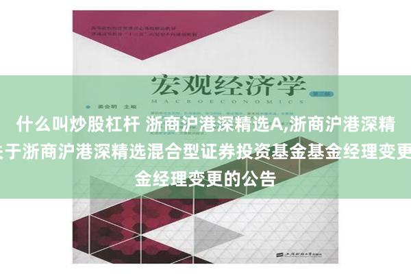 什么叫炒股杠杆 浙商沪港深精选A,浙商沪港深精选C: 关于浙商沪港深精选混合型证券投资基金基金经理变更的公告