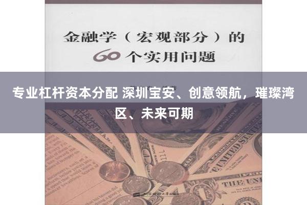 专业杠杆资本分配 深圳宝安、创意领航，璀璨湾区、未来可期