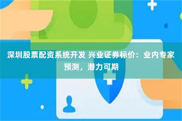 深圳股票配资系统开发 兴业证券标价：业内专家预测，潜力可期