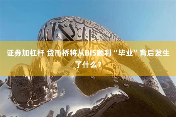 证券加杠杆 货币桥将从BIS顺利“毕业”背后发生了什么？