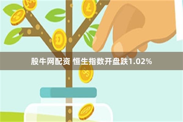 股牛网配资 恒生指数开盘跌1.02%