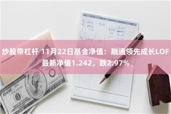 炒股带杠杆 11月22日基金净值：融通领先成长LOF最新净值1.242，跌2.97%