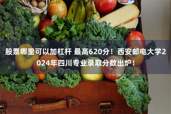 股票哪里可以加杠杆 最高620分！西安邮电大学2024年四川专业录取分数出炉！