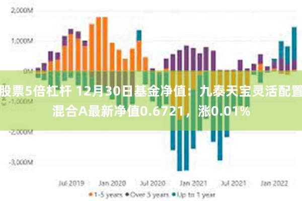 股票5倍杠杆 12月30日基金净值：九泰天宝灵活配置混合A最新净值0.6721，涨0.01%