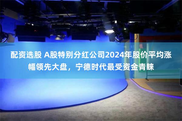 配资选股 A股特别分红公司2024年股价平均涨幅领先大盘，宁德时代最受资金青睐