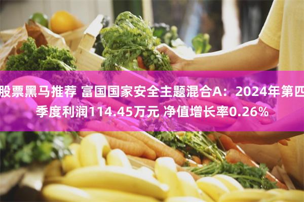 股票黑马推荐 富国国家安全主题混合A：2024年第四季度利润114.45万元 净值增长率0.26%