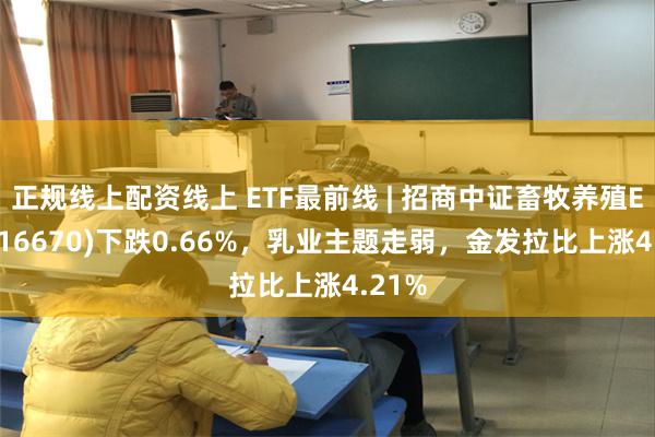 正规线上配资线上 ETF最前线 | 招商中证畜牧养殖ETF(516670)下跌0.66%，乳业主题走弱，金发拉比上涨4.21%