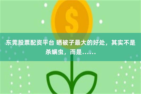 东莞股票配资平台 晒被子最大的好处，其实不是杀螨虫，而是……