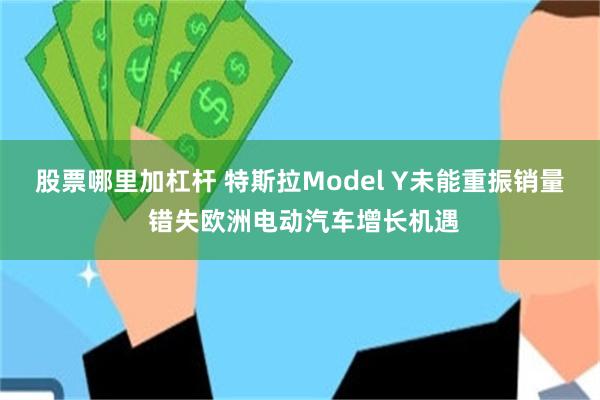 股票哪里加杠杆 特斯拉Model Y未能重振销量 错失欧洲电动汽车增长机遇