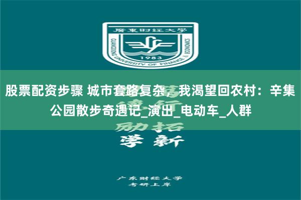 股票配资步骤 城市套路复杂，我渴望回农村：辛集公园散步奇遇记_演出_电动车_人群
