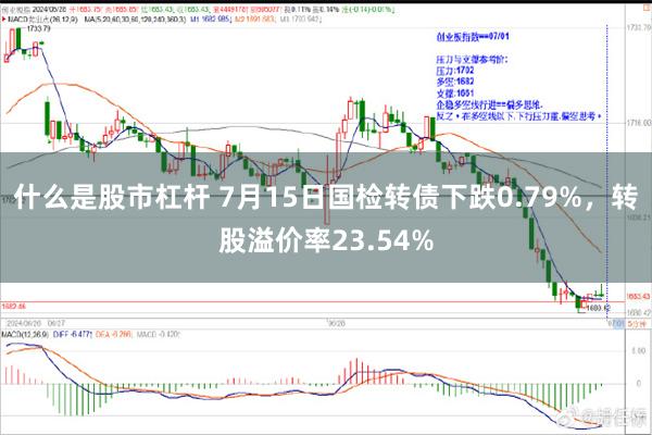 什么是股市杠杆 7月15日国检转债下跌0.79%，转股溢价率23.54%