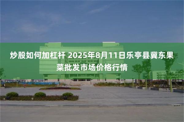 炒股如何加杠杆 2025年8月11日乐亭县冀东果菜批发市场价格行情